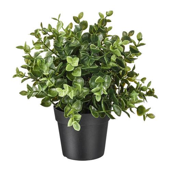 Artificial plants -2