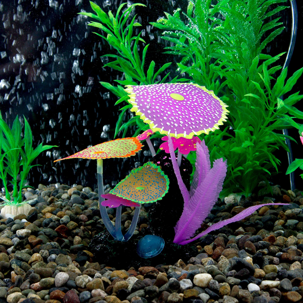 How To Clean Artificial Fish Tank Plants