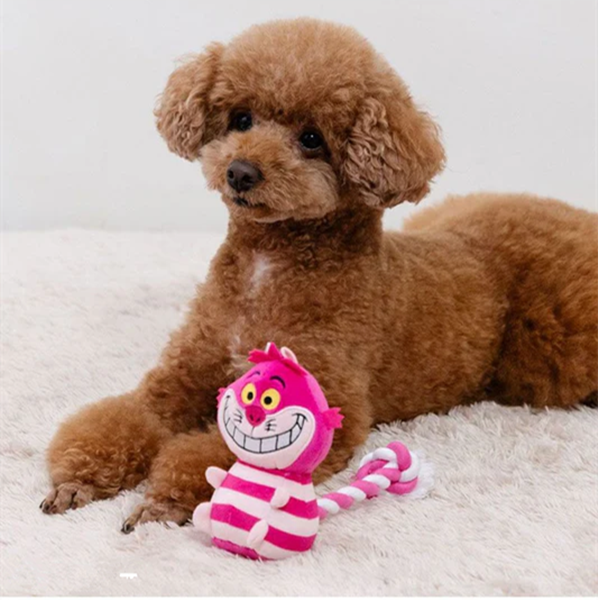 pet toys for dogs-2