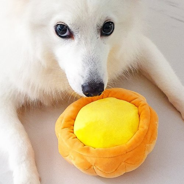 dog toy-3
