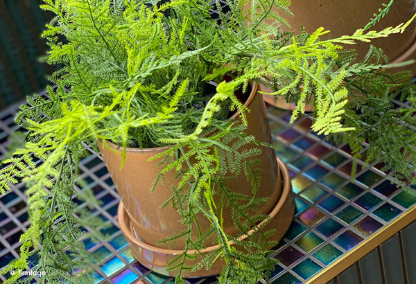 artificial plants for fengshui-1