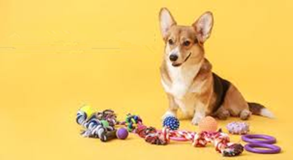 dog product