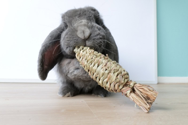 pet bunnies toy-3