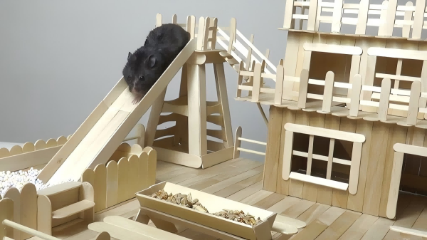 How To Make Popsicle Stick Toys for Pet Mice