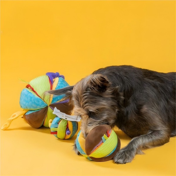 What Do You Wash Pet Toys with in Washing Machine