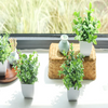 Artificial Fake Potted Plants