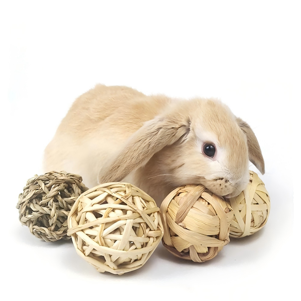 pet toys-4