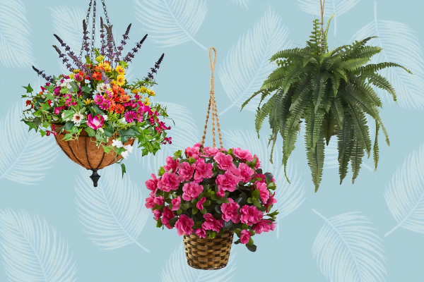 Hanging Plants-4