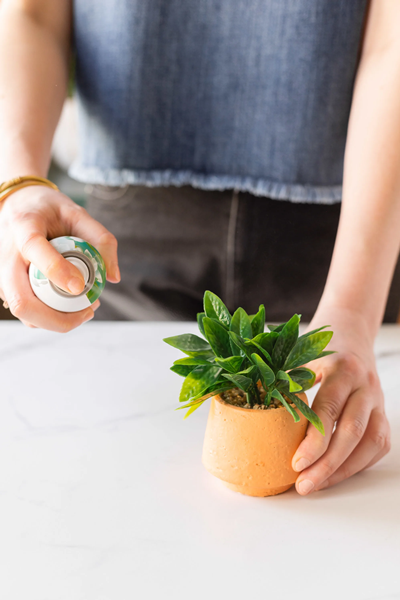 How To Clean Artificial Plants