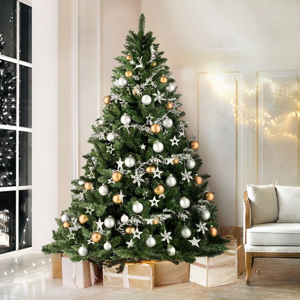 What Is The Importance of Christmas?
