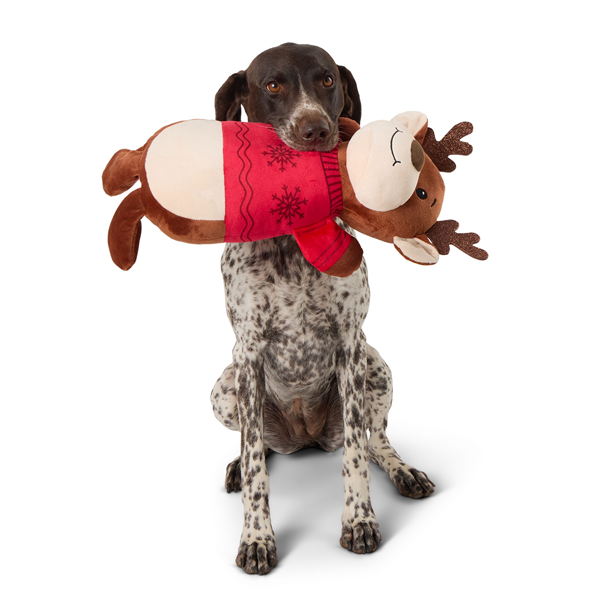 Littlest Pet Toys