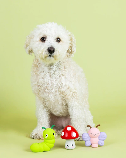 Can You Wash Pet Toys in The Washing Machine