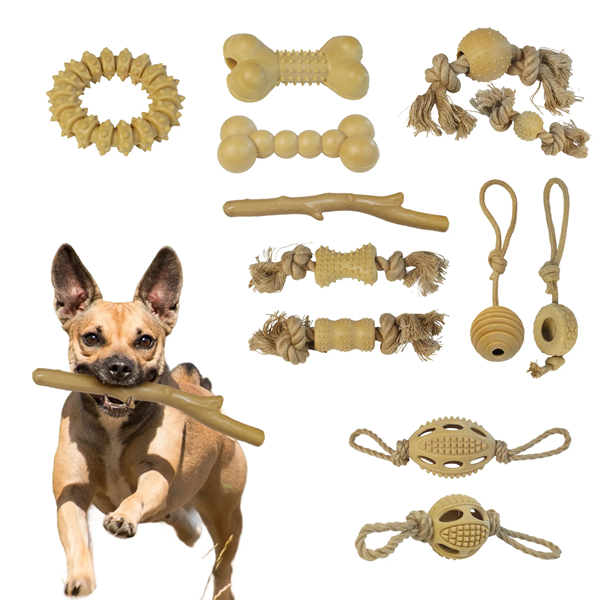 Do I Need Fda Approval for Pet Toys
