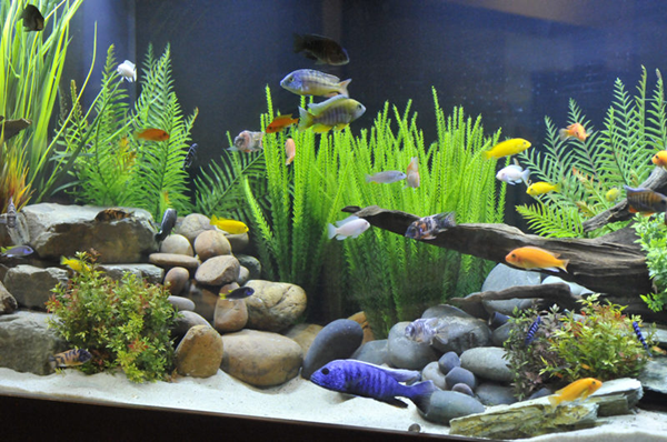 Artificial aquarium plants-2