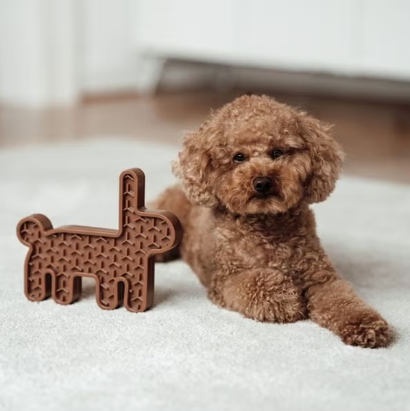 pet toys for dogs-3
