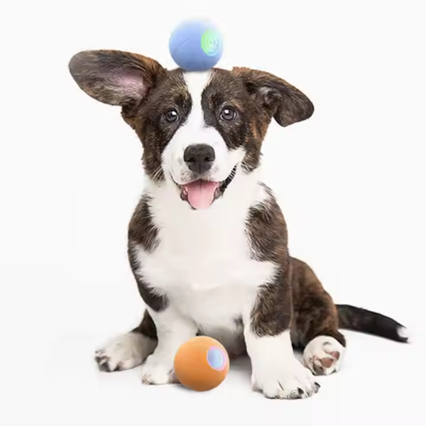 How Manufactures Tuffy Pet Toys