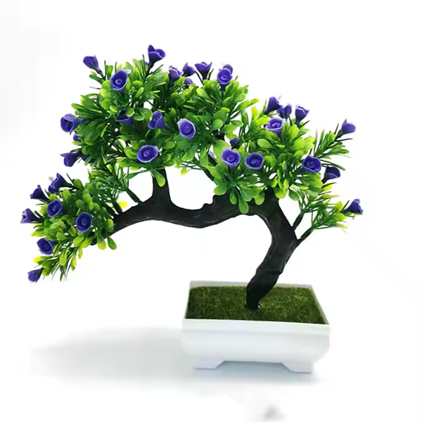 plants pot-4
