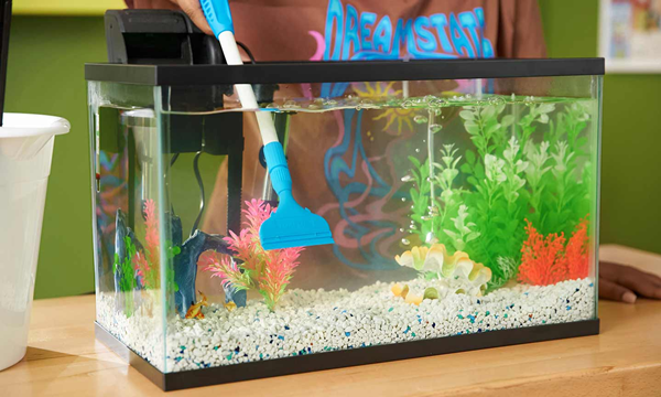 How To Clean Artificial Plants in A Fish Tank