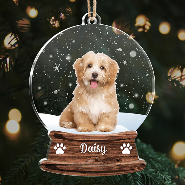 Acrylic Ornaments-3