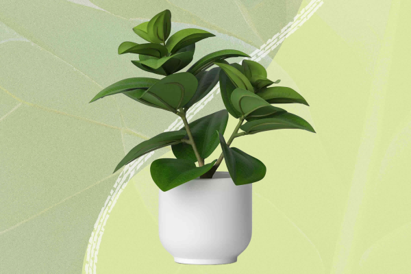 Fill Pots for Artificial Plants-3
