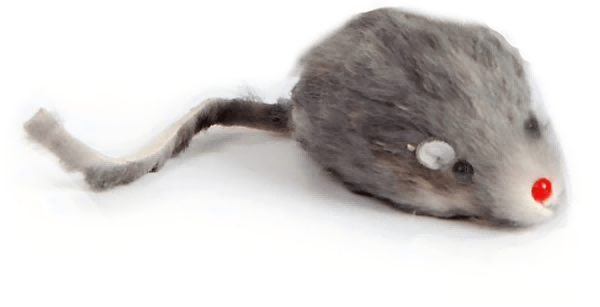 Pet Mouse Toy-2