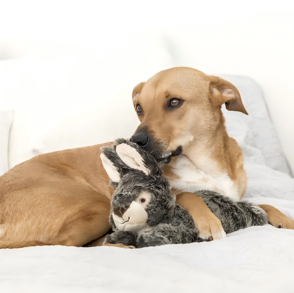 pet toys-4