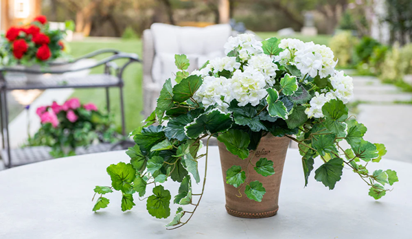 What Artificial Plants Look The Most Realistic