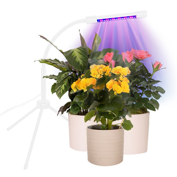 Can Artificial Light Grow Plants