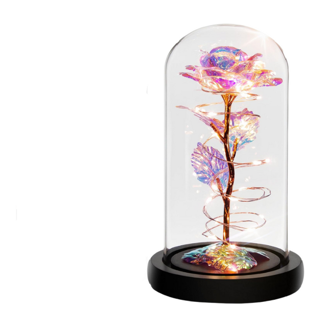 Preserved Flower Holiday Gift