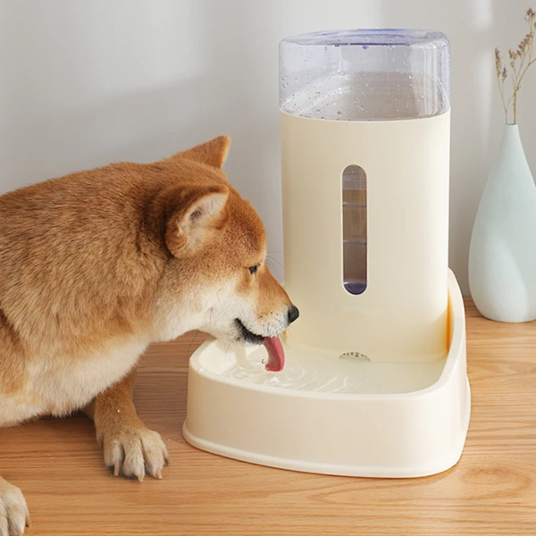 How Long Does A Pet Water Fountain Last?