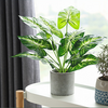 Small Artificial Plant Pot