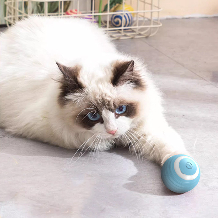 Cat Electronic Toy Ball