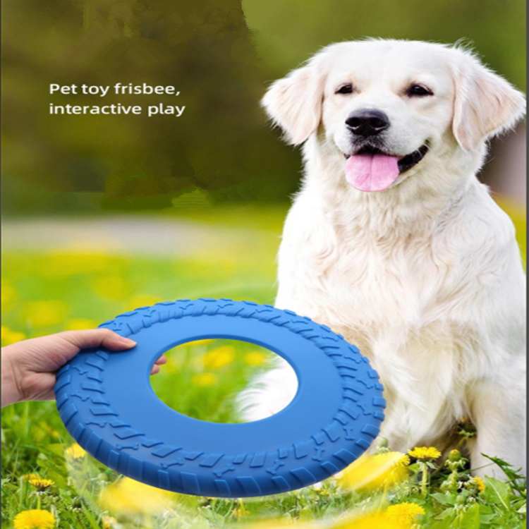 Wheel Flying Machine Dog Toy