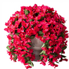 Artificial Flowers And Plants