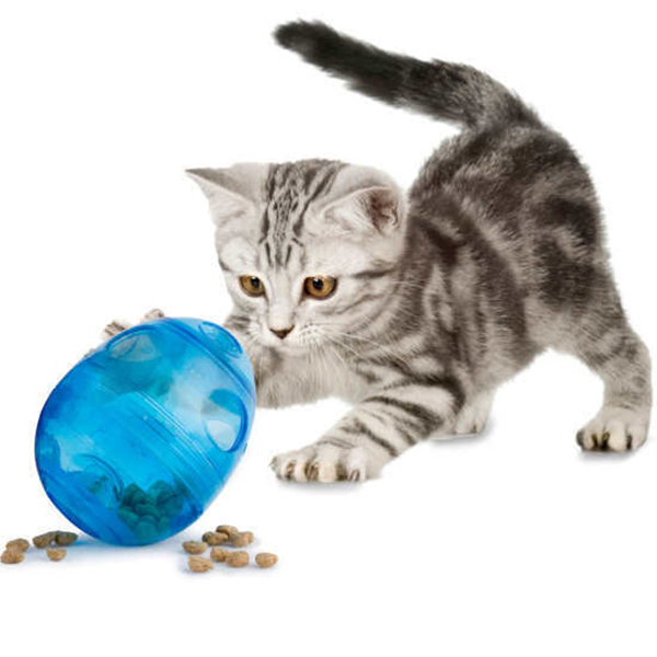 pet toys-2