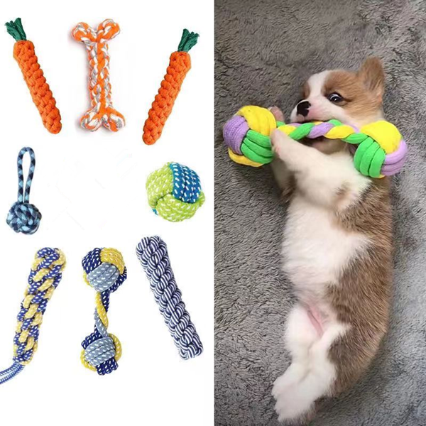 pet toy-4