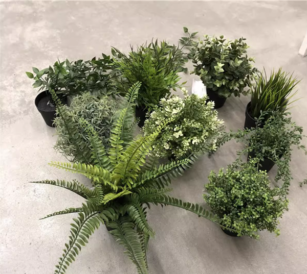 Artificial plants-3