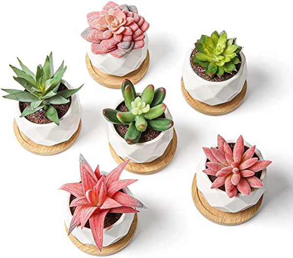Can You Plant Artificial Plants in Soil