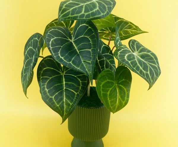 Artificial pot-4